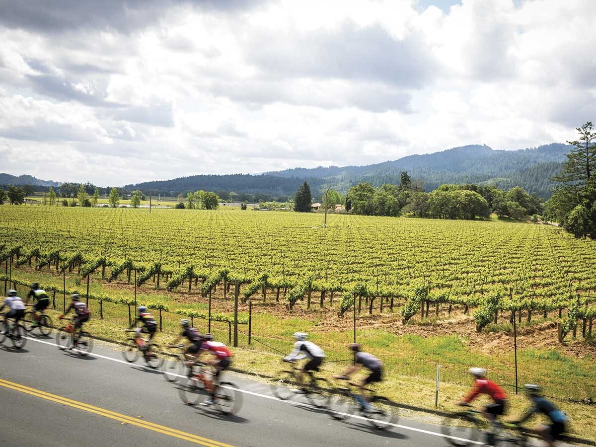 Purpose-Driven Pedaling:Napa Is a Cyclist’s Dream