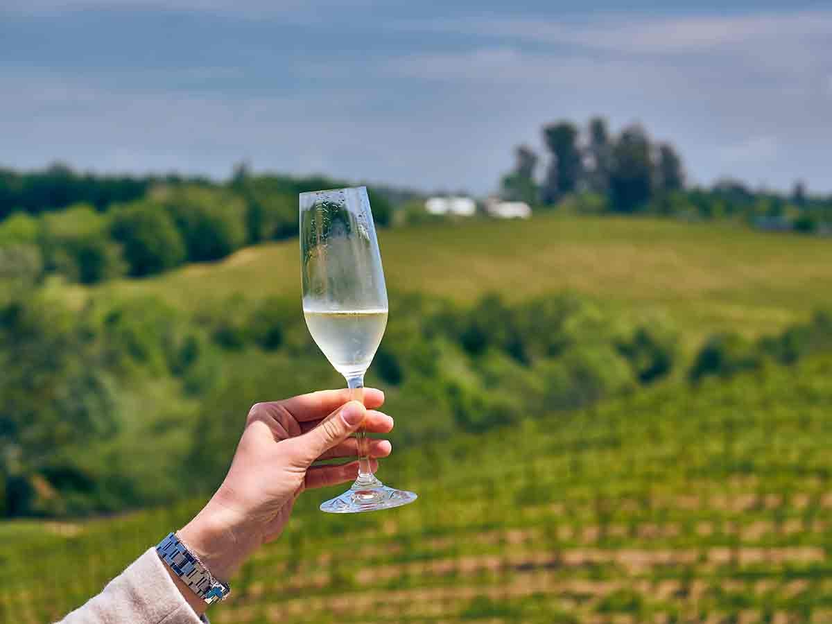 Behind the Vine: Sparkling