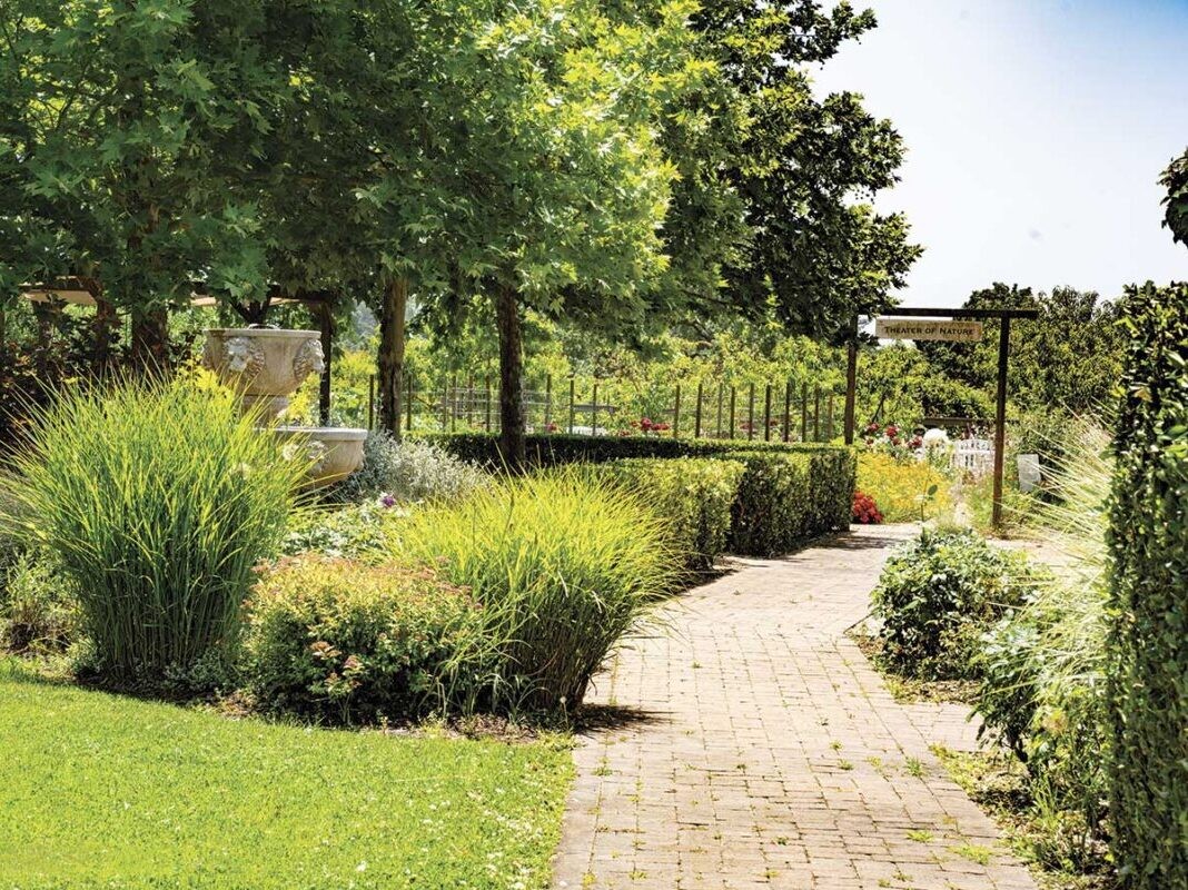 DeLoach Vineyards